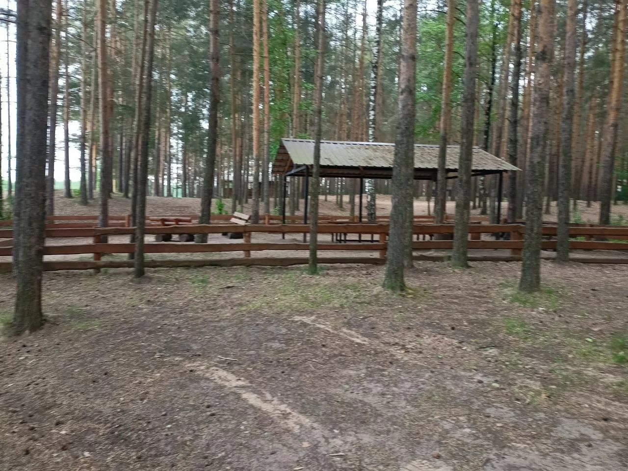 Домик №24