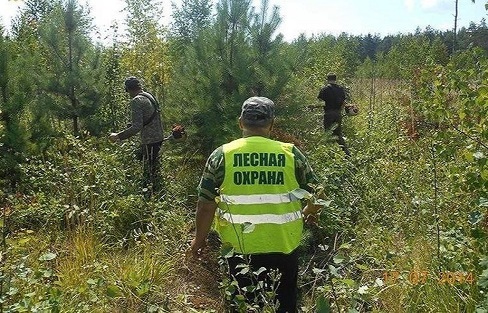 Беседка К1