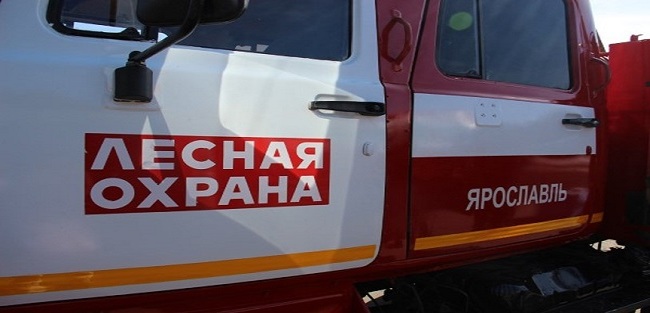 Беседка К1